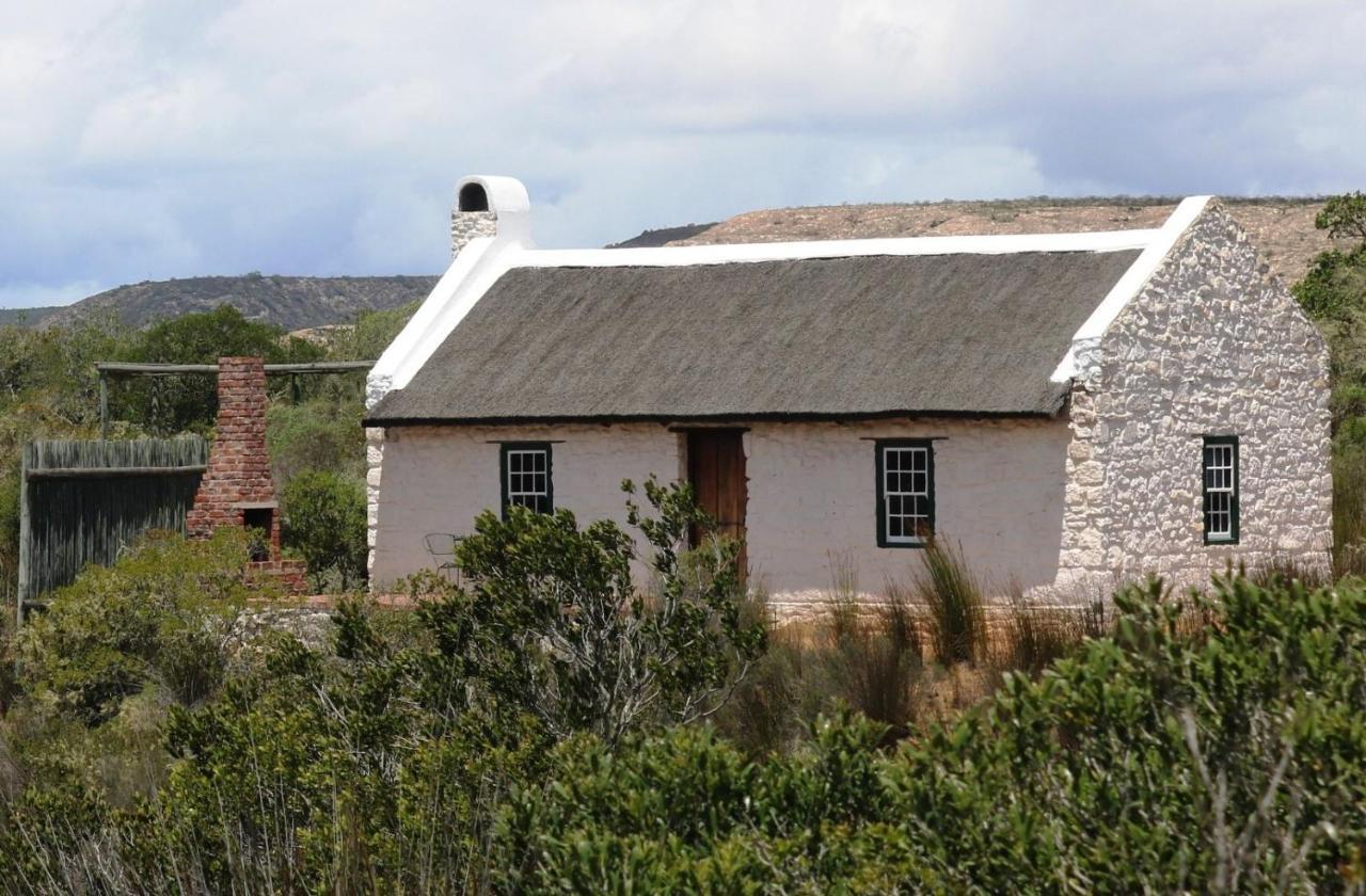 Wild Rescue Nature Reserve Villa Riversdale Exterior photo